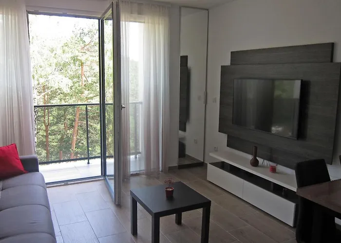 Planinac 03 Apartment Divčibare